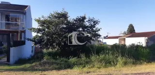 Terreno, foto 3