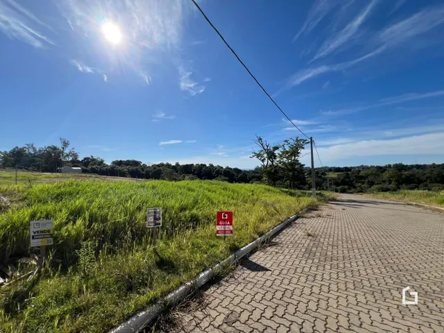 Paisagem de campo com estrada e vegetação ao ar livre.