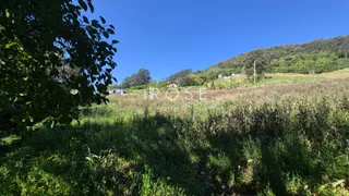 Área rural com 3 dormitórios, foto 7