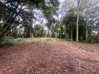 Terreno, foto 13