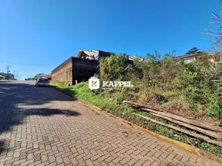Vista externa de uma propriedade em Lajeado, Brasil, com vegetação densa ao lado da estrada.