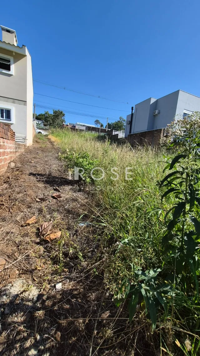 Terreno, foto 2