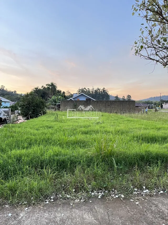 Terreno, foto 2