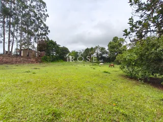 Terreno, foto 4