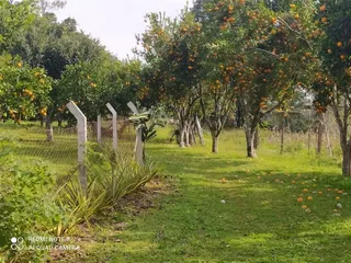 Área rural com 3 dormitórios, foto 8