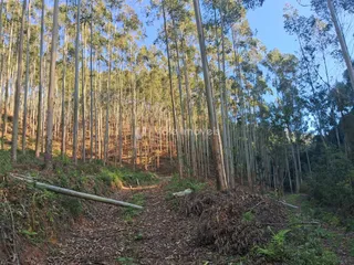 Área rural, foto 7