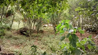 Área rural com 2 dormitórios, foto 8