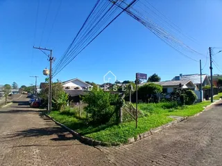 Terreno, foto 1
