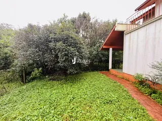 Vista da fachada de uma residência com vegetação densa ao redor.