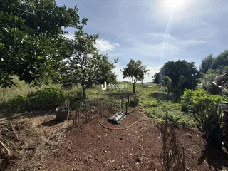 Vista de terra com vegetação e plantações em uma área rural.