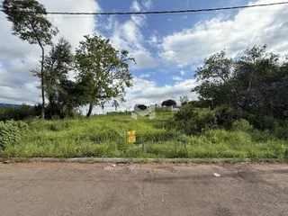 Vista da propriedade com vegetação densa e estrada no primeiro plano.