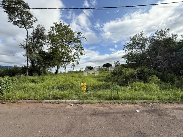 Vista da propriedade com vegetação densa e estrada no primeiro plano.