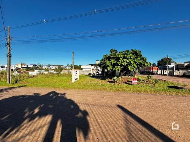 Terreno, foto 3