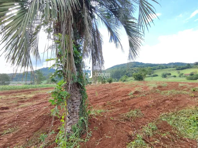 Área rural, foto 4