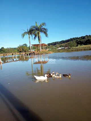 Área rural com 2 dormitórios, foto 6