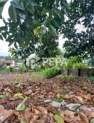 Terreno, foto 3