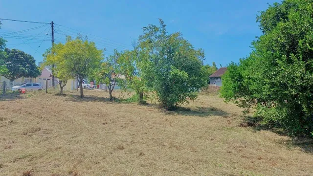 Terreno, foto 3