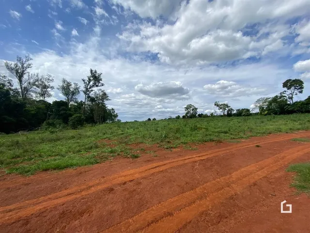 Paisagem de campo com vegetação verde e uma estrada de terra vermelha.