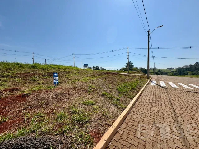 Terreno, foto 4