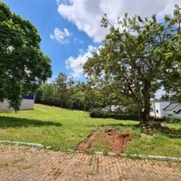 Paisagem externa com gramado e árvores em uma área de Lajeado.