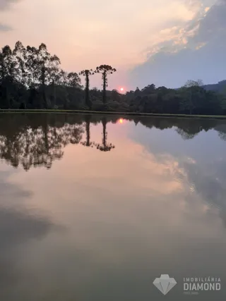 Área rural com 4 dormitórios, foto 31