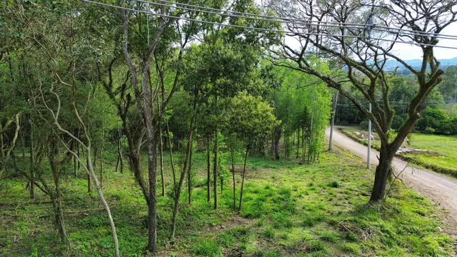 Imóvel, foto 3