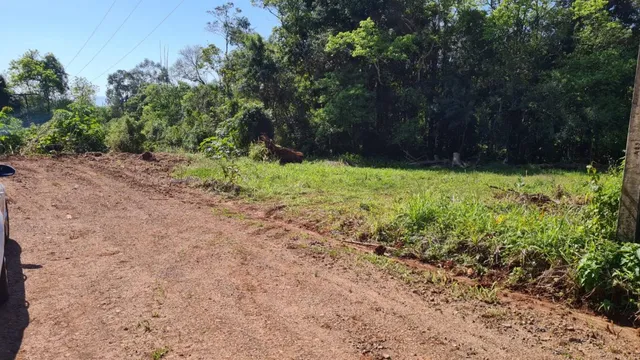 Terreno