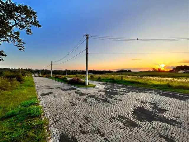 Terreno, foto 3