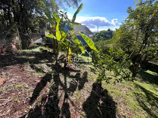 Casa com 3 dormitórios, foto 34