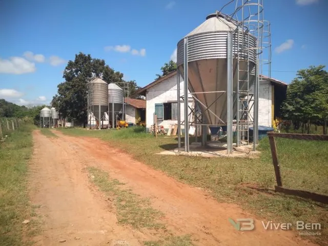 Área rural com 4 dormitórios, foto 2