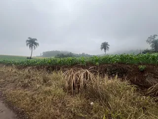 Imóvel, foto 3