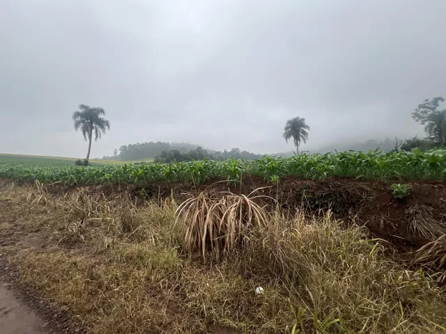 Imóvel, foto 3