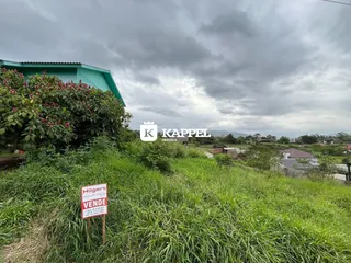 Vista externa de uma propriedade com vegetação densa no primeiro plano.