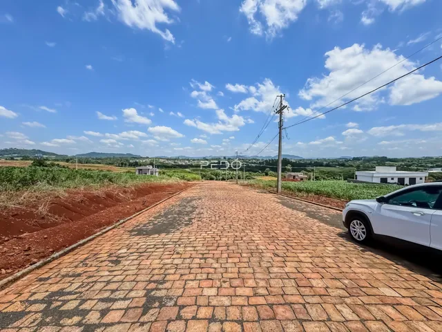 Vista da estrada de acesso à propriedade em Lajeado, Brasil.