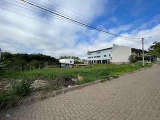 Terreno, foto 8