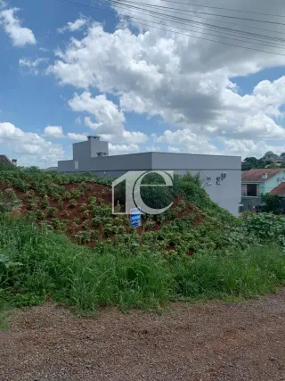 Terreno, foto 2