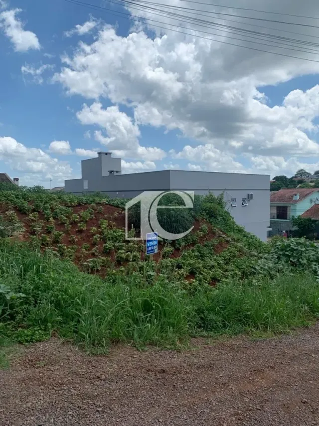 Terreno, foto 2