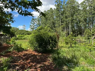 Área rural, foto 7