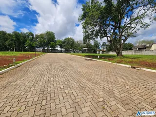 Terreno, foto 3