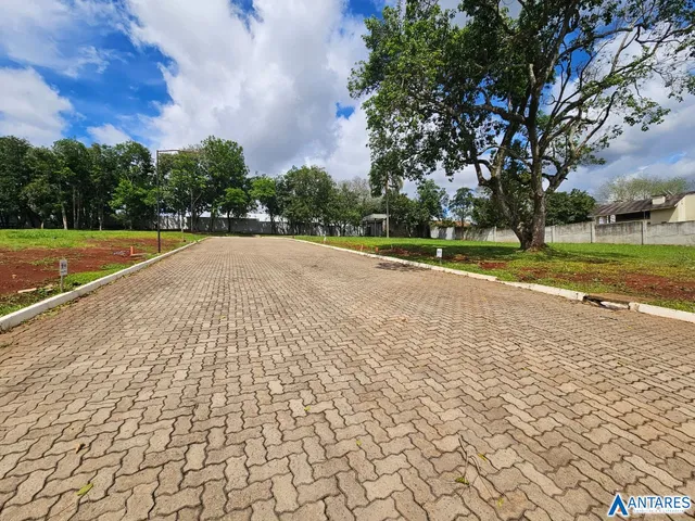 Terreno, foto 3
