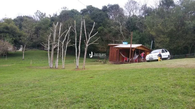 Vista externa de uma propriedade com árvores no campo.