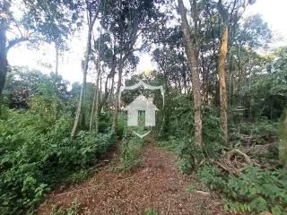 Terreno, foto 5