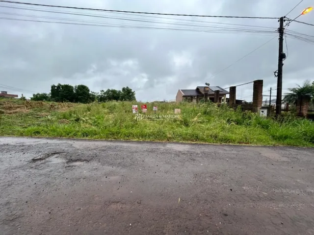 Terreno