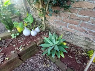 Casa com 2 dormitórios, foto 20