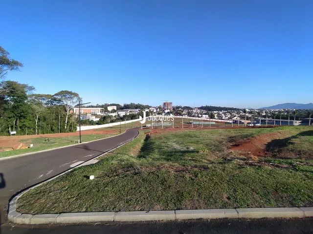 Vista da propriedade com estrada e área de vegetação ao fundo.