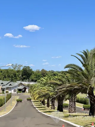 Terreno, foto 6