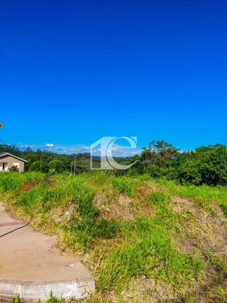 Terreno, foto 6