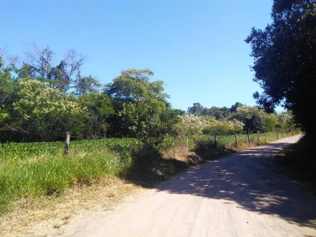 Área rural, foto 4