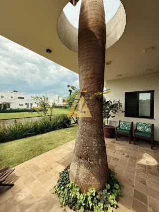 Casa com 2 dormitórios, foto 9
