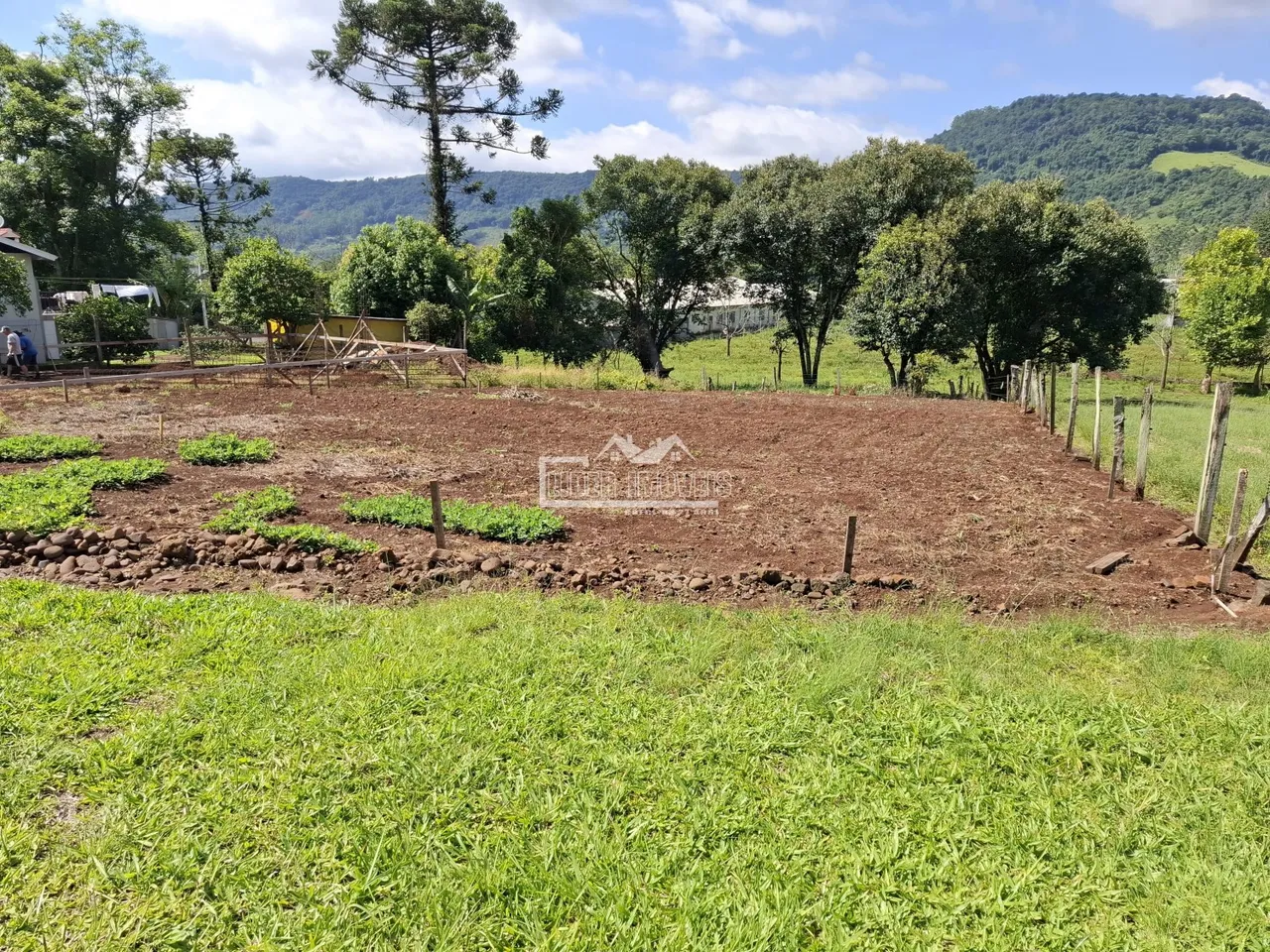 Terreno, foto 1